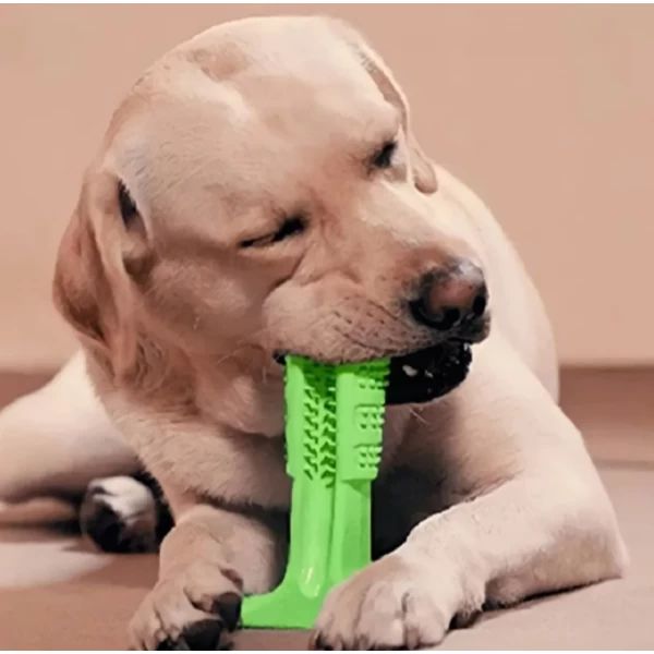 Brinquedo Mordedor Escova De Dente Para Cachorro Grande