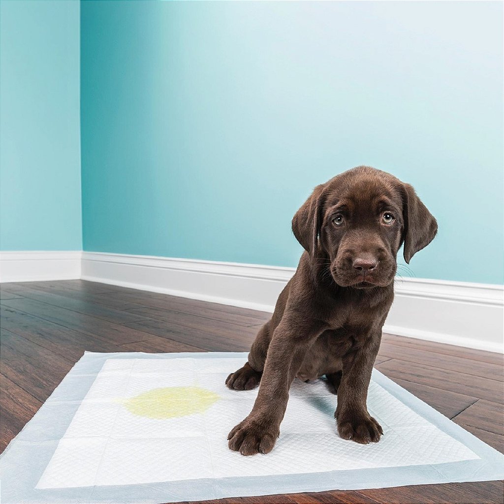Tapete Higiênico Para Pet Good Pad Slim 60cm x 60cm 30 Unidades