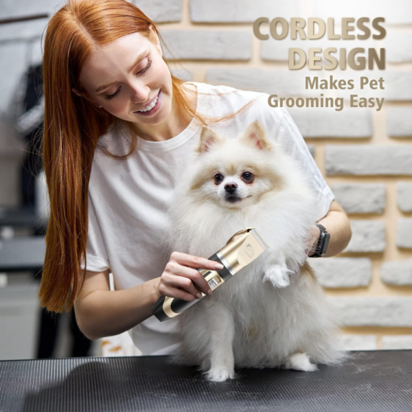 Kit Máquina Tosa Dourada Pets Cachorro Tosar Cães Gatos Profissional