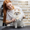 Kit Máquina Tosa Dourada Pets Cachorro Tosar Cães Gatos Profissional