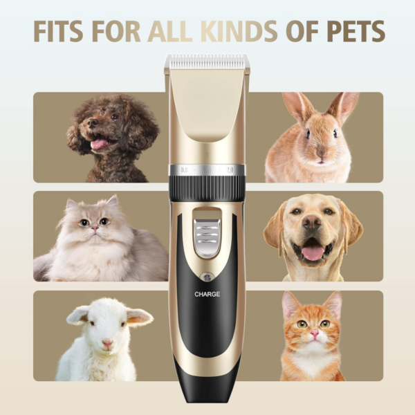 Kit Máquina Tosa Dourada Pets Cachorro Tosar Cães Gatos Profissional