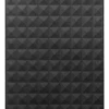 Disco rígido externo Seagate Expansion STEA1000400